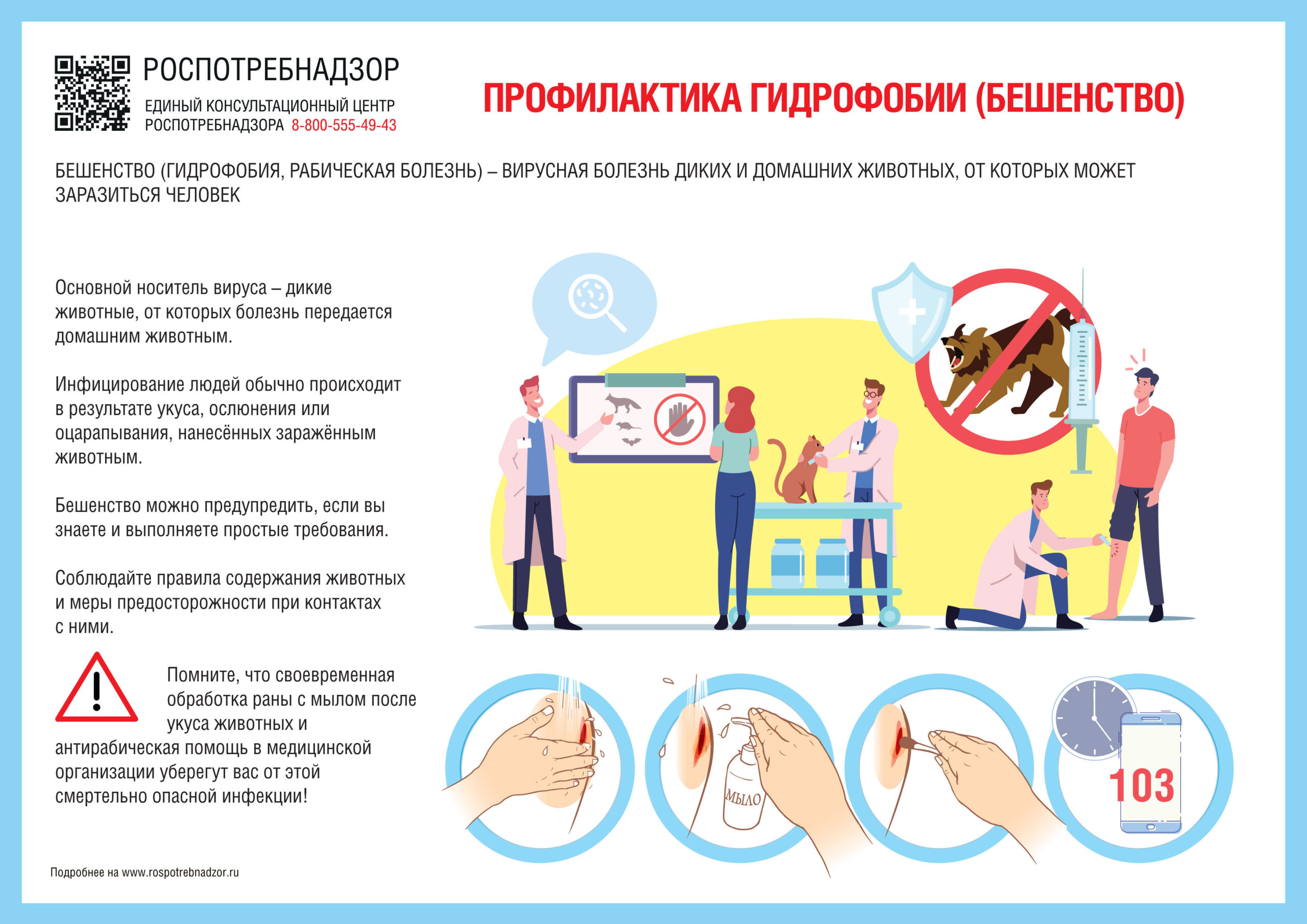 Схема антирабической вакцинации при укусе у детей